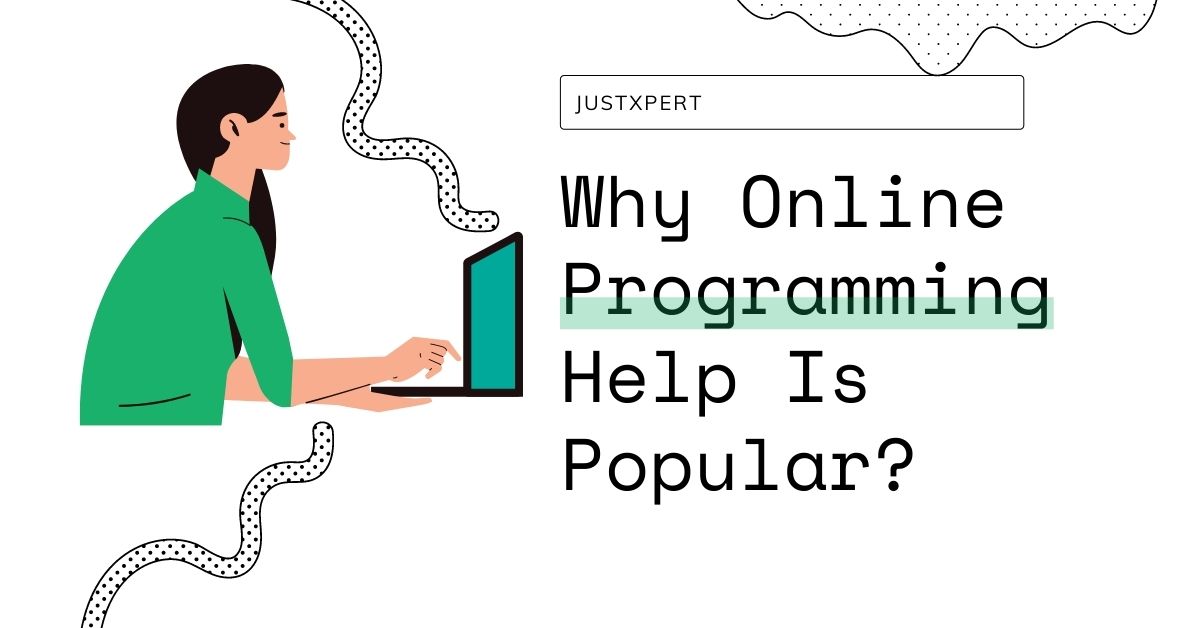 Why online programming help is popular